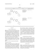 TYPE II RAF KINASE INHIBITORS diagram and image