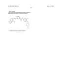 TYPE II RAF KINASE INHIBITORS diagram and image