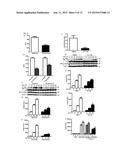 TREATMENTS OF OXIDATIVE STRESS CONDITIONS diagram and image