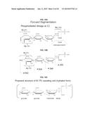 PNEUMOCOCCAL SEROTYPE 6D diagram and image