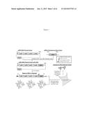 METHOD OF RAPIDLY PRODUCING IMPROVED VACCINES FOR ANIMALS diagram and image