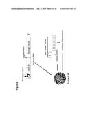 METHOD OF RAPIDLY PRODUCING IMPROVED VACCINES FOR ANIMALS diagram and image