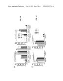 DUAL OX40 AGONIST/IL-2 CANCER THERAPY METHODS diagram and image