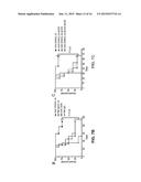 DUAL OX40 AGONIST/IL-2 CANCER THERAPY METHODS diagram and image