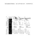 Methods Of Identifying And Treating Poor-Prognosis Cancers diagram and image