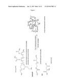 DECONTAMINANT PRODUCT AND METHOD diagram and image