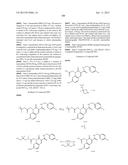 CYTOMEGALOVIRUS INHIBITOR COMPOUNDS diagram and image