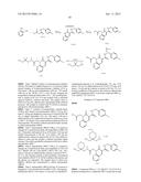 CYTOMEGALOVIRUS INHIBITOR COMPOUNDS diagram and image