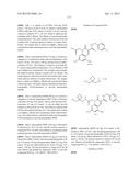 CYTOMEGALOVIRUS INHIBITOR COMPOUNDS diagram and image