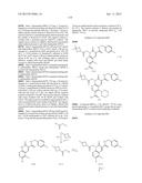 CYTOMEGALOVIRUS INHIBITOR COMPOUNDS diagram and image