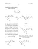 CYTOMEGALOVIRUS INHIBITOR COMPOUNDS diagram and image