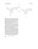 CYTOMEGALOVIRUS INHIBITOR COMPOUNDS diagram and image