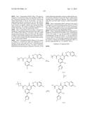 CYTOMEGALOVIRUS INHIBITOR COMPOUNDS diagram and image