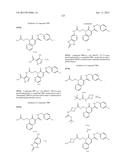 CYTOMEGALOVIRUS INHIBITOR COMPOUNDS diagram and image