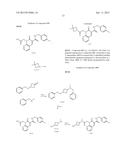 CYTOMEGALOVIRUS INHIBITOR COMPOUNDS diagram and image