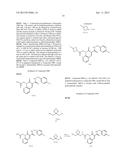 CYTOMEGALOVIRUS INHIBITOR COMPOUNDS diagram and image