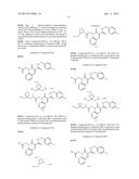 CYTOMEGALOVIRUS INHIBITOR COMPOUNDS diagram and image