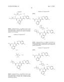 CYTOMEGALOVIRUS INHIBITOR COMPOUNDS diagram and image