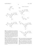 CYTOMEGALOVIRUS INHIBITOR COMPOUNDS diagram and image