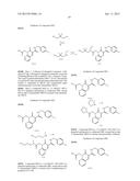 CYTOMEGALOVIRUS INHIBITOR COMPOUNDS diagram and image