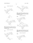 CYTOMEGALOVIRUS INHIBITOR COMPOUNDS diagram and image