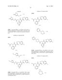 CYTOMEGALOVIRUS INHIBITOR COMPOUNDS diagram and image