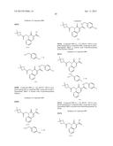 CYTOMEGALOVIRUS INHIBITOR COMPOUNDS diagram and image