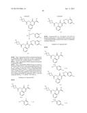 CYTOMEGALOVIRUS INHIBITOR COMPOUNDS diagram and image