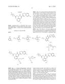 CYTOMEGALOVIRUS INHIBITOR COMPOUNDS diagram and image