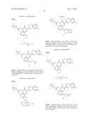 CYTOMEGALOVIRUS INHIBITOR COMPOUNDS diagram and image