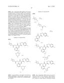 CYTOMEGALOVIRUS INHIBITOR COMPOUNDS diagram and image