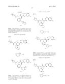 CYTOMEGALOVIRUS INHIBITOR COMPOUNDS diagram and image