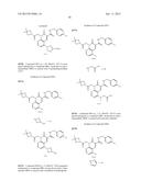 CYTOMEGALOVIRUS INHIBITOR COMPOUNDS diagram and image