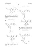 CYTOMEGALOVIRUS INHIBITOR COMPOUNDS diagram and image