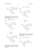 CYTOMEGALOVIRUS INHIBITOR COMPOUNDS diagram and image