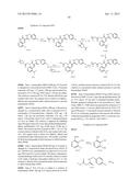 CYTOMEGALOVIRUS INHIBITOR COMPOUNDS diagram and image