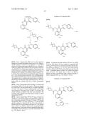 CYTOMEGALOVIRUS INHIBITOR COMPOUNDS diagram and image