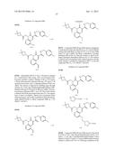 CYTOMEGALOVIRUS INHIBITOR COMPOUNDS diagram and image