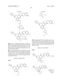 CYTOMEGALOVIRUS INHIBITOR COMPOUNDS diagram and image