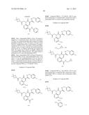 CYTOMEGALOVIRUS INHIBITOR COMPOUNDS diagram and image