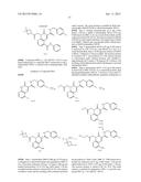 CYTOMEGALOVIRUS INHIBITOR COMPOUNDS diagram and image