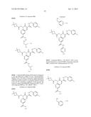 CYTOMEGALOVIRUS INHIBITOR COMPOUNDS diagram and image