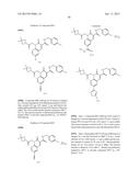 CYTOMEGALOVIRUS INHIBITOR COMPOUNDS diagram and image