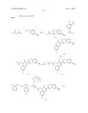 CYTOMEGALOVIRUS INHIBITOR COMPOUNDS diagram and image