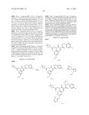 CYTOMEGALOVIRUS INHIBITOR COMPOUNDS diagram and image