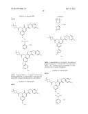 CYTOMEGALOVIRUS INHIBITOR COMPOUNDS diagram and image