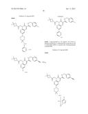 CYTOMEGALOVIRUS INHIBITOR COMPOUNDS diagram and image