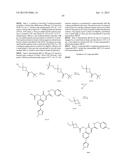 CYTOMEGALOVIRUS INHIBITOR COMPOUNDS diagram and image