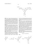 CYTOMEGALOVIRUS INHIBITOR COMPOUNDS diagram and image