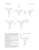 CYTOMEGALOVIRUS INHIBITOR COMPOUNDS diagram and image